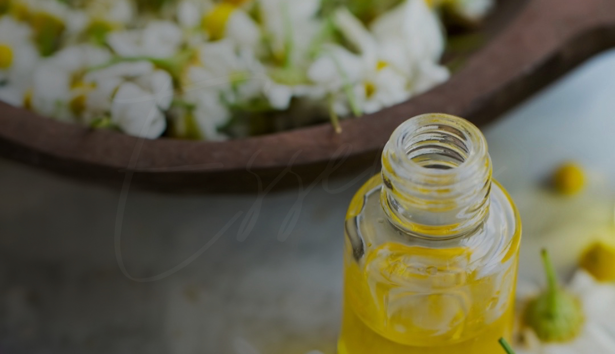 Essence Medspa & Wellness Center photo 2